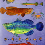 Colour Concepts Interior Design Airport 2